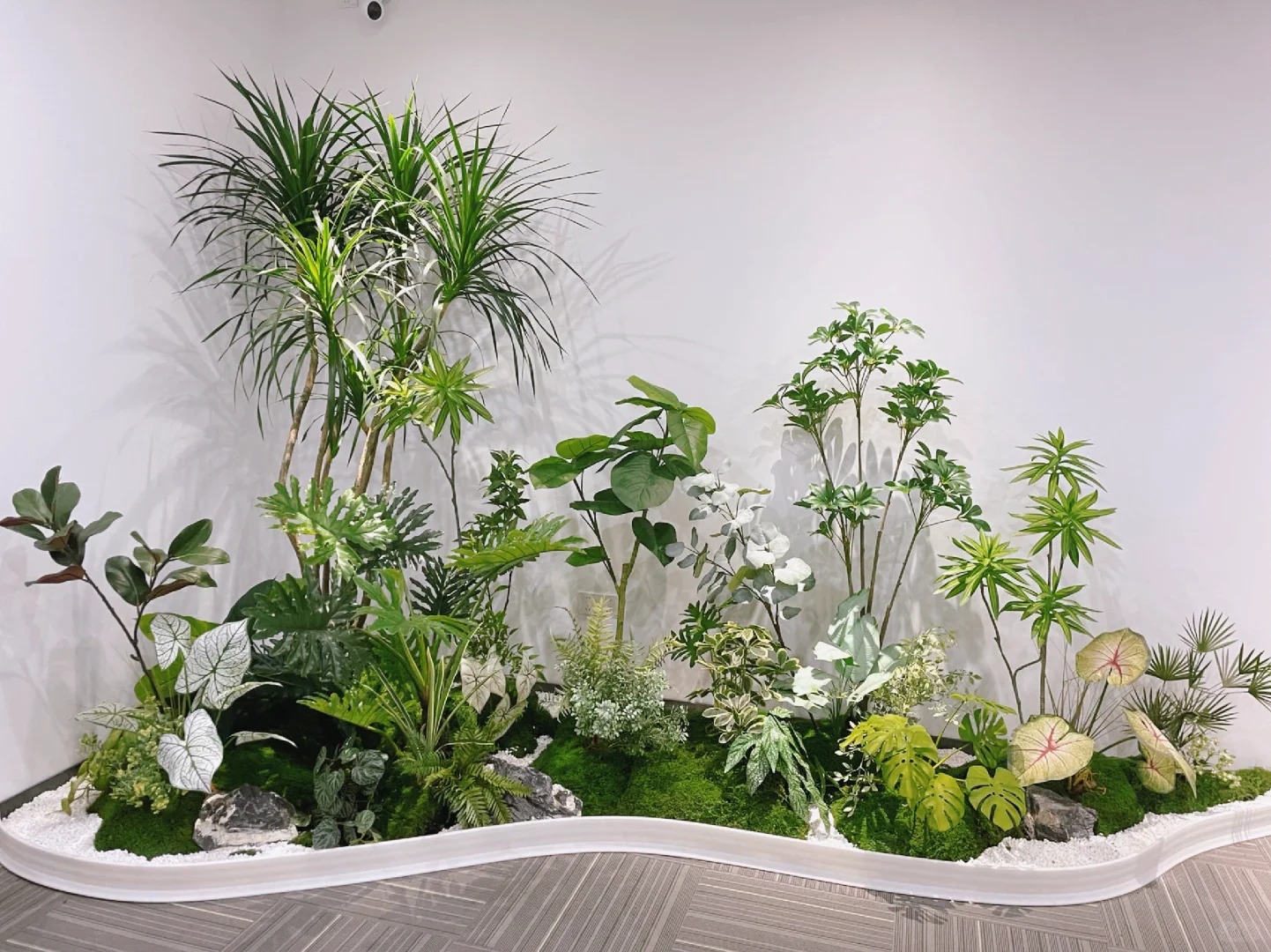 专业绿植租摆服务,宁波镇海的绿色贴心之选